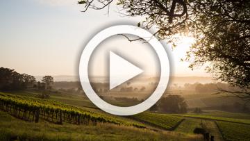 2022 Toyota Landcruiser Sahara ZX Auto 4x4